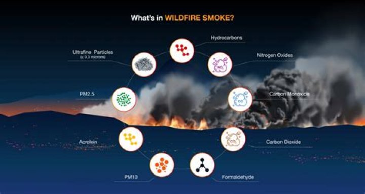 How to not trigger Wildfire mystery