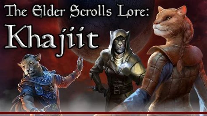 Where are all the Khajiits?